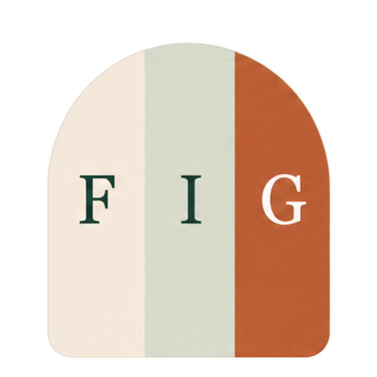 Framework Improvement Group FIG mark